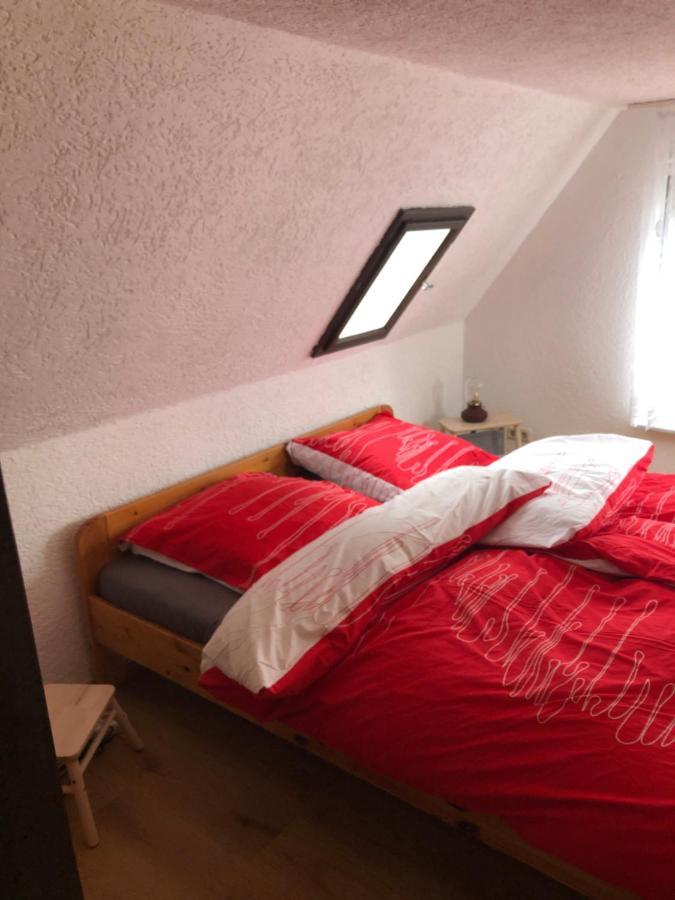 Ferienhaus Zentral & Gruen Lipsia Esterno foto